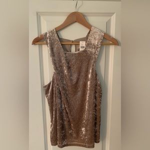 NWT velvet Anthropologie going out top